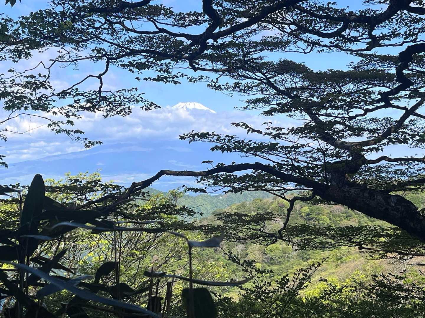 富士山チラリ🏔️

期待しちゃうでしょ