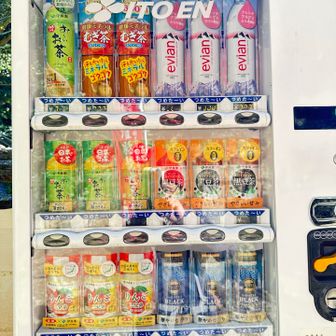 上醍醐山頂付近自販機　まぁ仕方ないか価格¥300