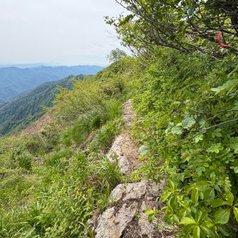 危険なトラバースが多い登山道です