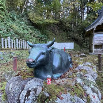 金剛山の牛さんもワンカップを呑む‥？