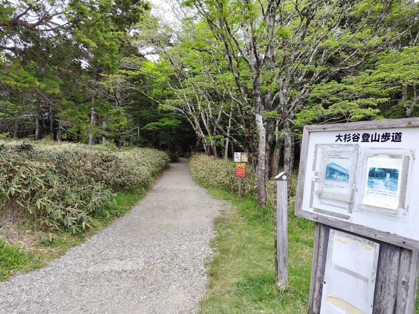 ７時過ぎスタート。
尾鷲辻までは石畳や舗装路がほとんど。