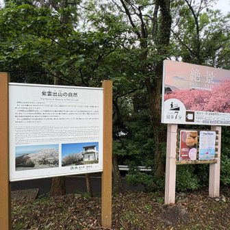 雨が降りそうなので、今日は楽させてもらいます