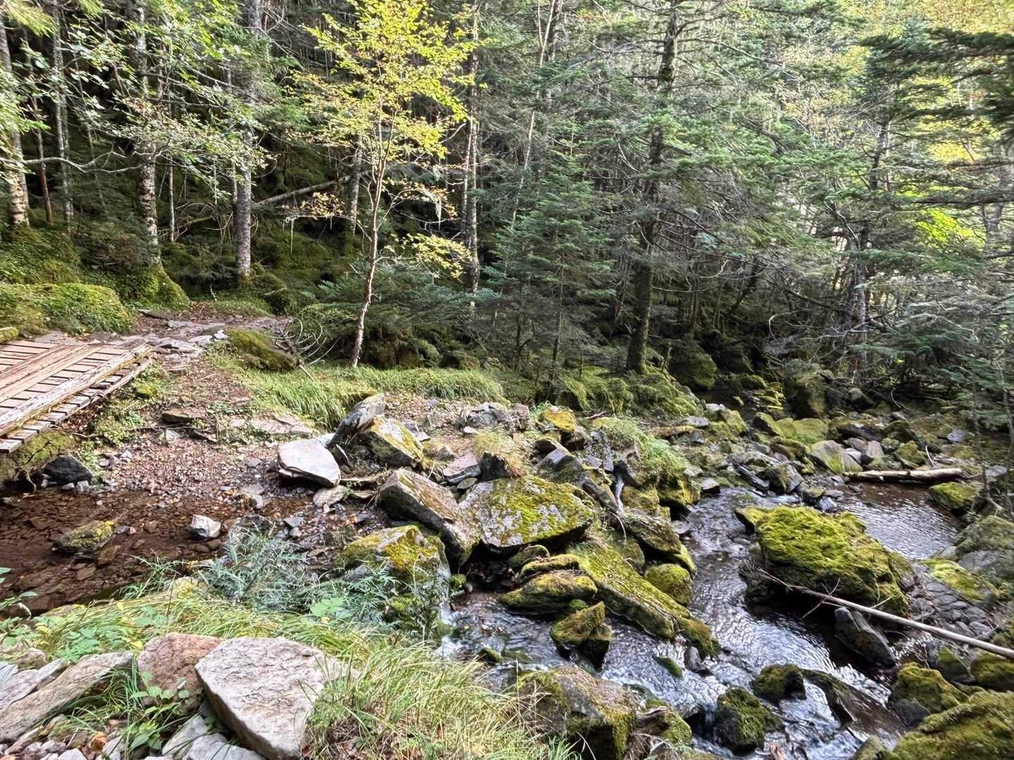 下山時は陽射しで川面が映えてた