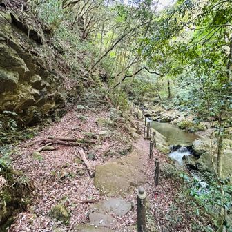 登山道