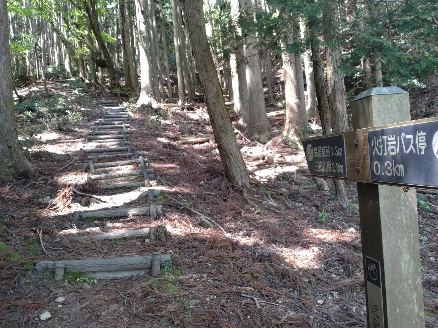 ここからは初めてであります🔰