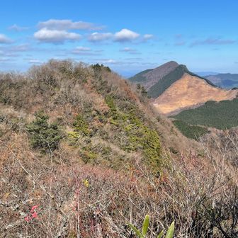 山頂でよい景色を堪能しながらお昼ご飯を頂きました。