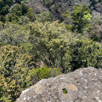 山頂の岩から😱