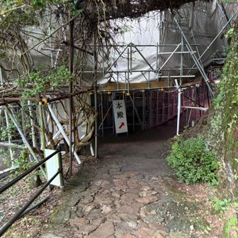稲荷神社まで戻った先に来ると工事中
本殿はこの先っぽい