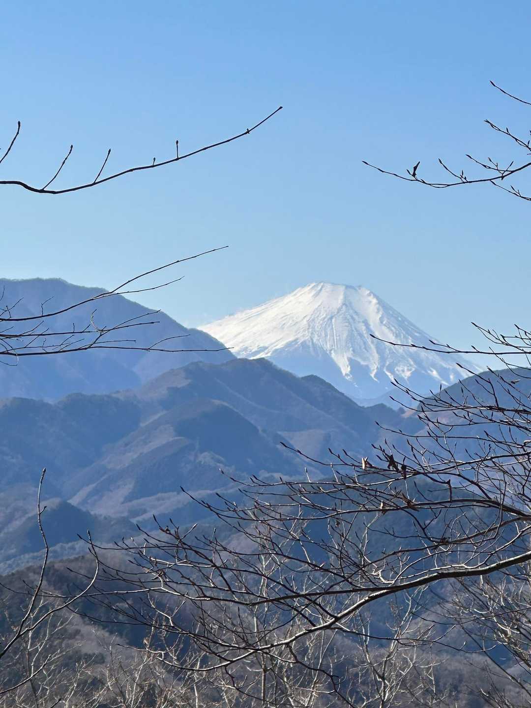 で「←」の方面を見たら、ホントに富士山がよく見えた。枝の遮りが少ない場所を教えてもらい、感謝です。