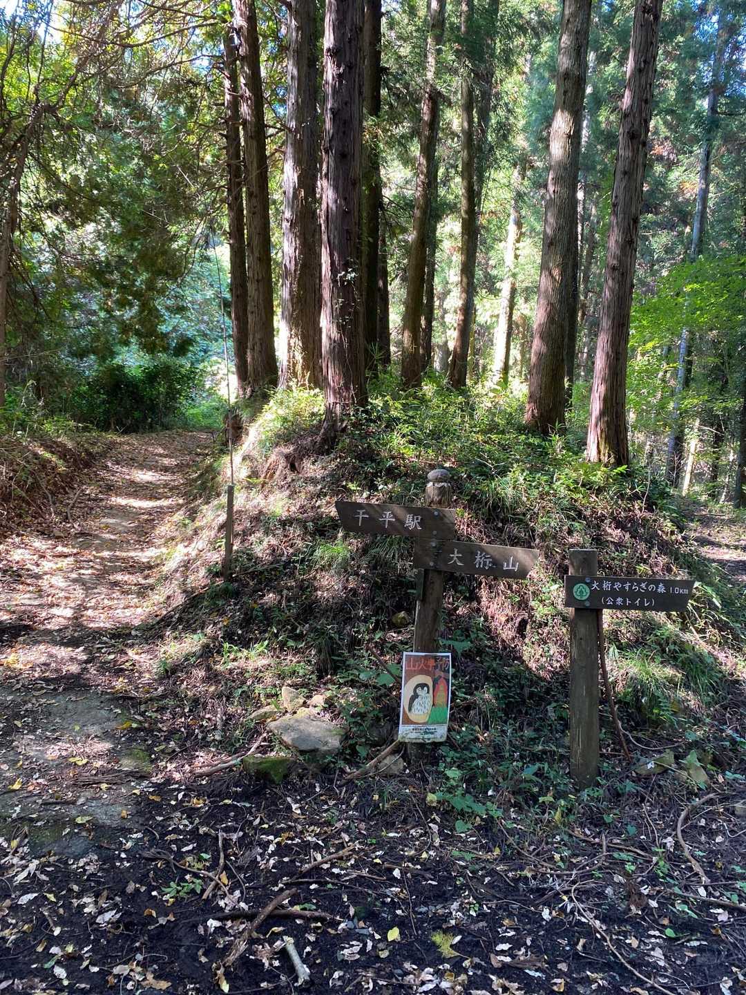 登山口です🥾