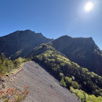 ここは青ナギっていうとこ？
砂地の斜面の向こう側から本格的な登りが始まります