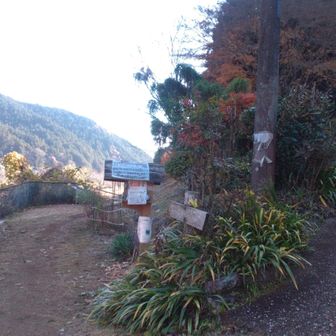 お疲れ山でした！さわらびの湯最高〜♨️