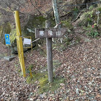 さあ開始です。