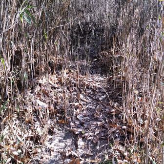 八祖山へ向かう💦