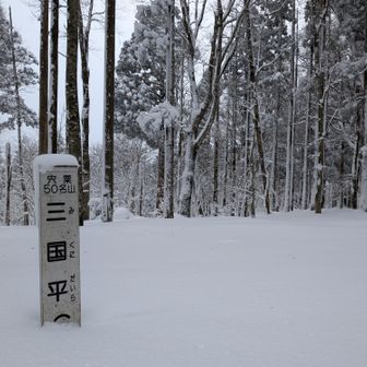 三国平到着🚩
思った以上にたっぷりの雪❄
ずっとラッセル続きで、結構足にきてます😕💦