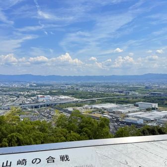 展望台
レインボーブリッジは封鎖できませんでした