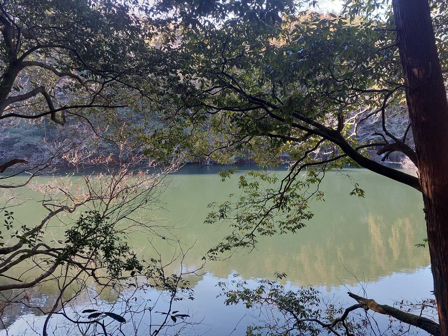 魚釣り禁止の池がありました🐟