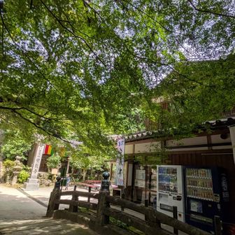 茶屋見えた🙌　ぷはぁ〜と冷たいアクエリで生き返る