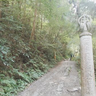6号路