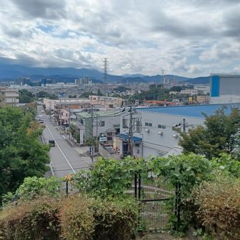 富士山眺望スポット🗻
どこがだ、どこなんだ。