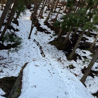 登山口🙋‍♂️雪あります☃️