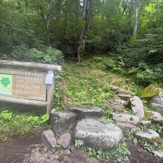 なんとか笠新道を終える
「キツイ下山道三選」にランクイン😡🔥