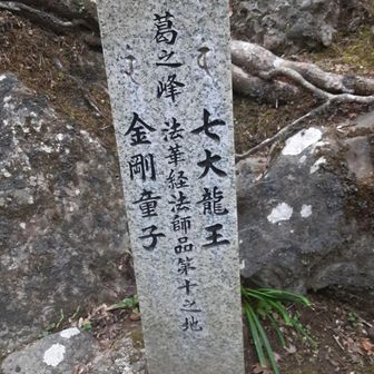 これが最後か？