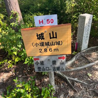 城山到着⛰️近江の山城70です🏯