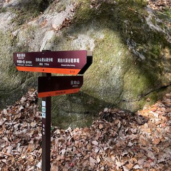 尾白川🅿️に行かずに、渓谷方面へ。
甲斐駒ヶ嶽神社⛩️に行くのだ。

写真撮影禁止なの。SNSで拡散しないでと張り紙がある。インバウンドの喧騒に晒されたくないんだろうな。
確かに静かに鎮座在しますのが似合うと思う。