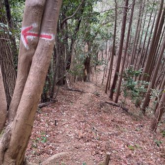 深沢山東峰を通過して西峰へ。左は水晶山方面。
