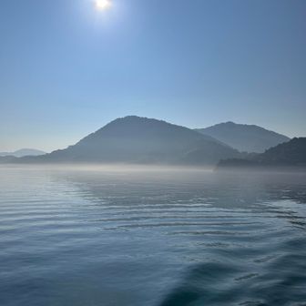 にゃんにゃんニャンコ