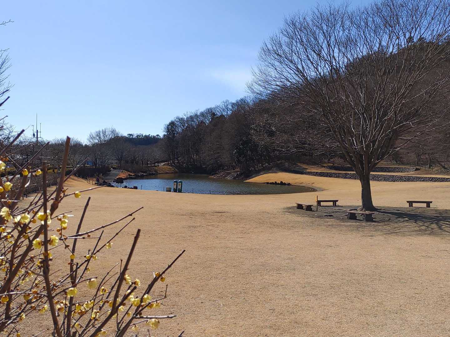山頂中継広場 周回コースの写真