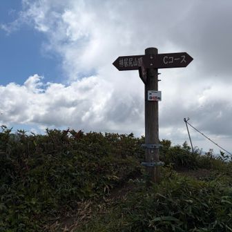 山頂、Ｃコースの分岐