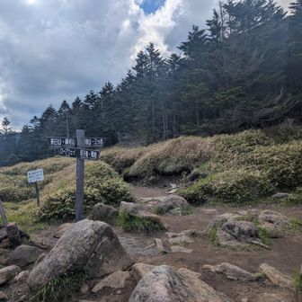 ヤッターーー✨分岐に到着
