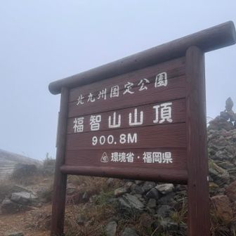 思ってたより風はそこまで強くなかった