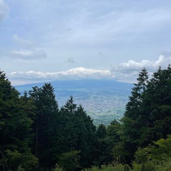 乙女峠からの富士山。

朝９時頃、東名では見れてたのになぁ〜泣