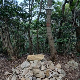 やばい、道間違えて、やけに時間かかってしまった。下山時間ちょっとオーバーするな。
