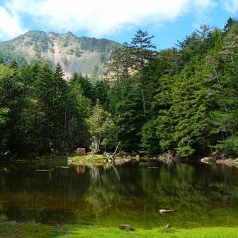 みどり池と天狗岳
しらびそ小屋に戻りました😀