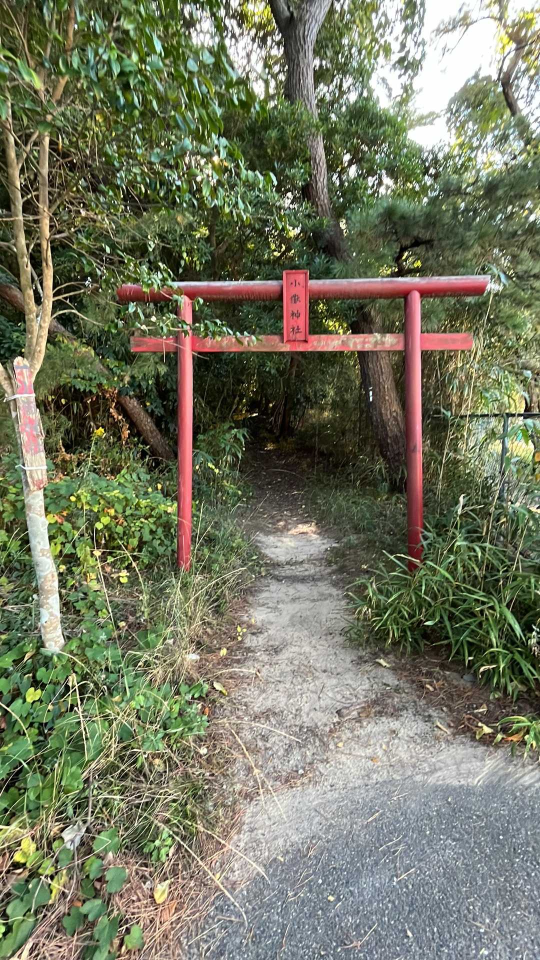 大岳 縦走コースの写真