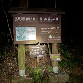 モッチョム岳登山口から、いよいよ試練のタイムトライアル⌛️スタートです🏃