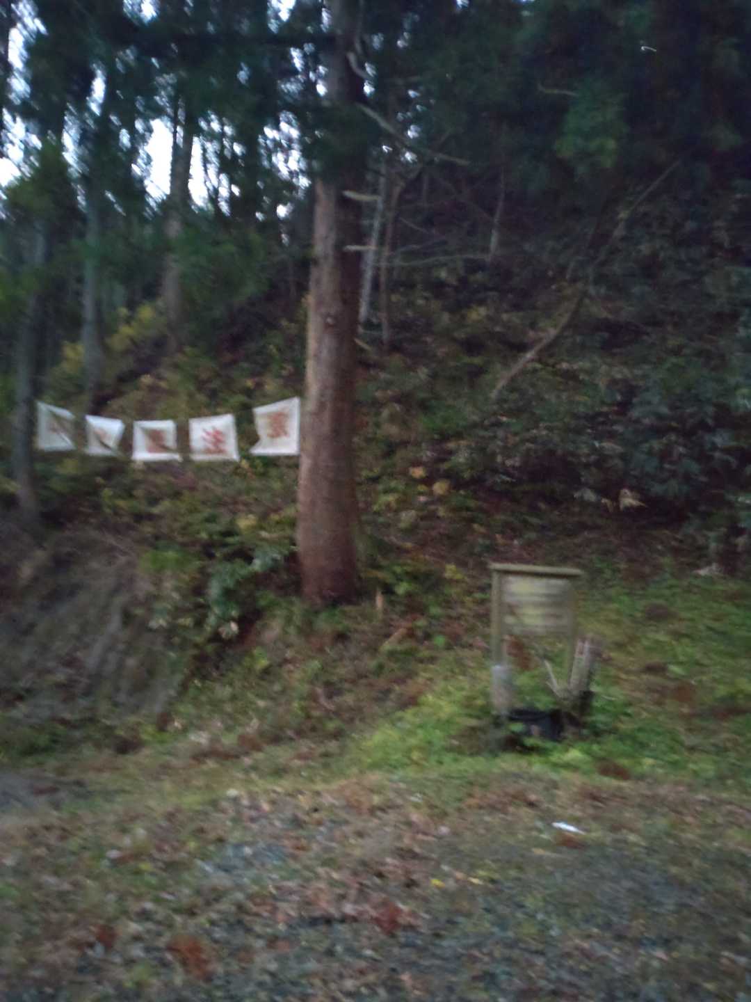 無事に降りれた😅