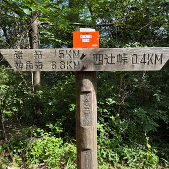 急登を超えて…一座目⛰️雨乞岳登頂です