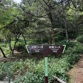 登りは岩場コース
帰りは迂回コースを歩いたけど
あんまり変わらなかったかも