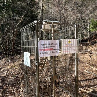 熊目撃情報の案内板。1月3日の情報ということもあってビビる。慌てて熊鈴を取り出す。