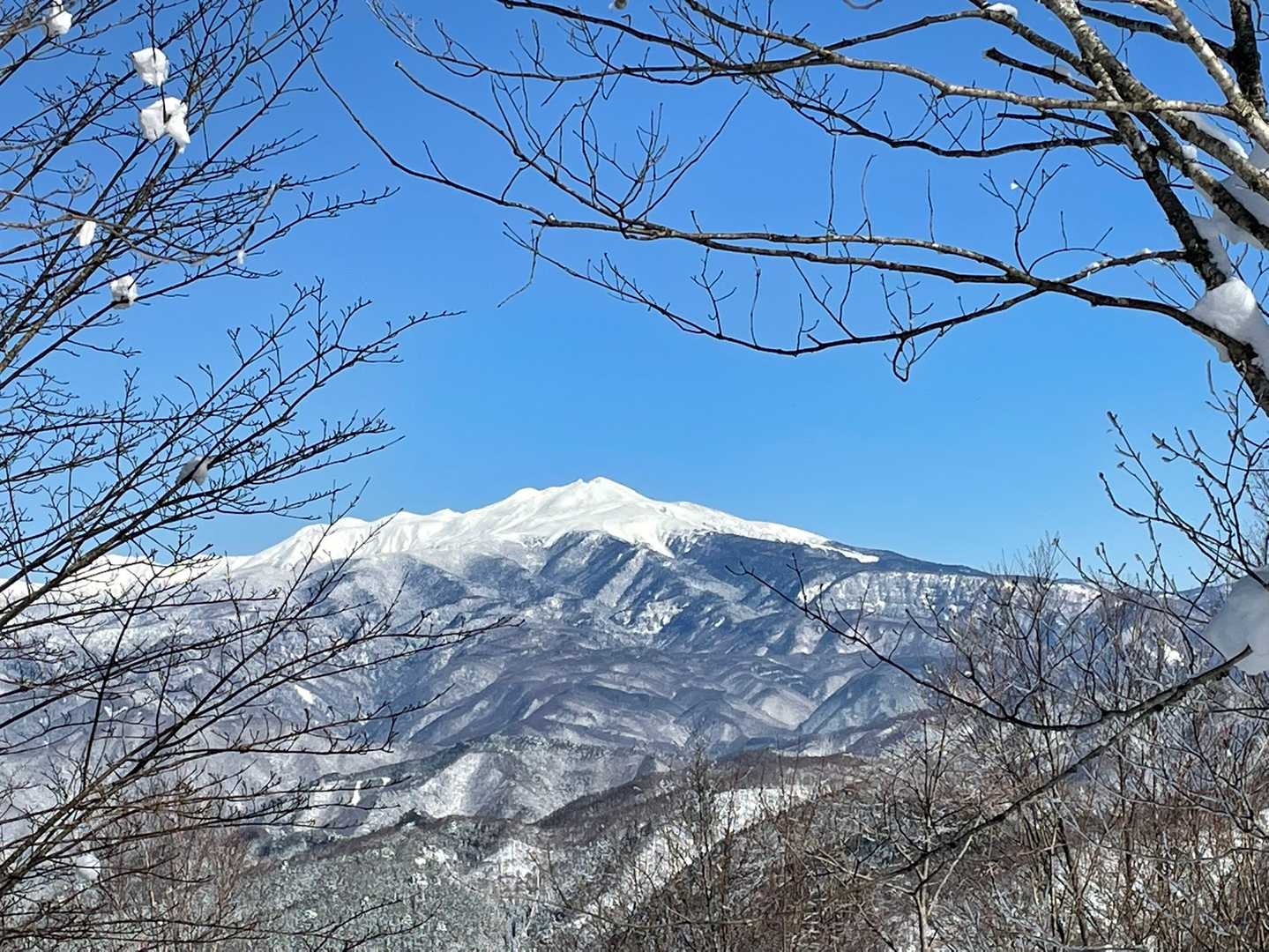 拡大🔍