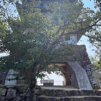 N氏曰く「この作りが台無しにしてる」らしいです。