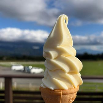 清泉寮に戻ってソフトクリーム🍦
美味しいけどもう少し甘さ抑えめが好きかな。