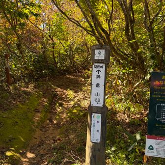 ここから登山道