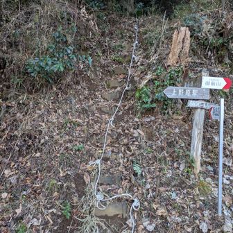 やっと登山口に到着。
登山口からロープが張ってある山は初めてでした。