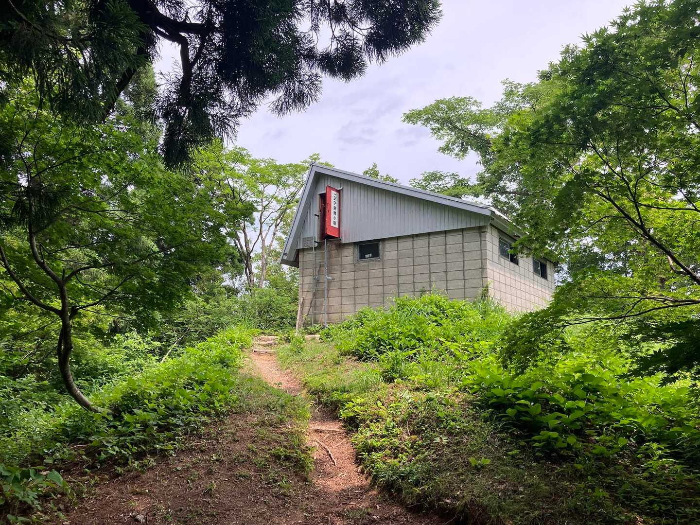 3合目まで戻ってきました。
ここから登山口までの樹林帯エリアは風があまり吹かず登りも下りも汗だくになりました。